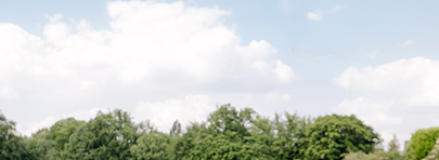 Green Trees Beneath a Cloudy Blue Sky